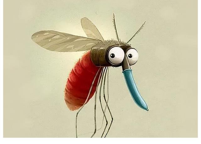 小姐姐|新版《天天向上》揭秘蚊子为啥不会被雨点砸死 大张伟：蚊子雨休