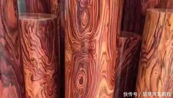 世上这些 奇香异味 的名贵木种 您能认出几个