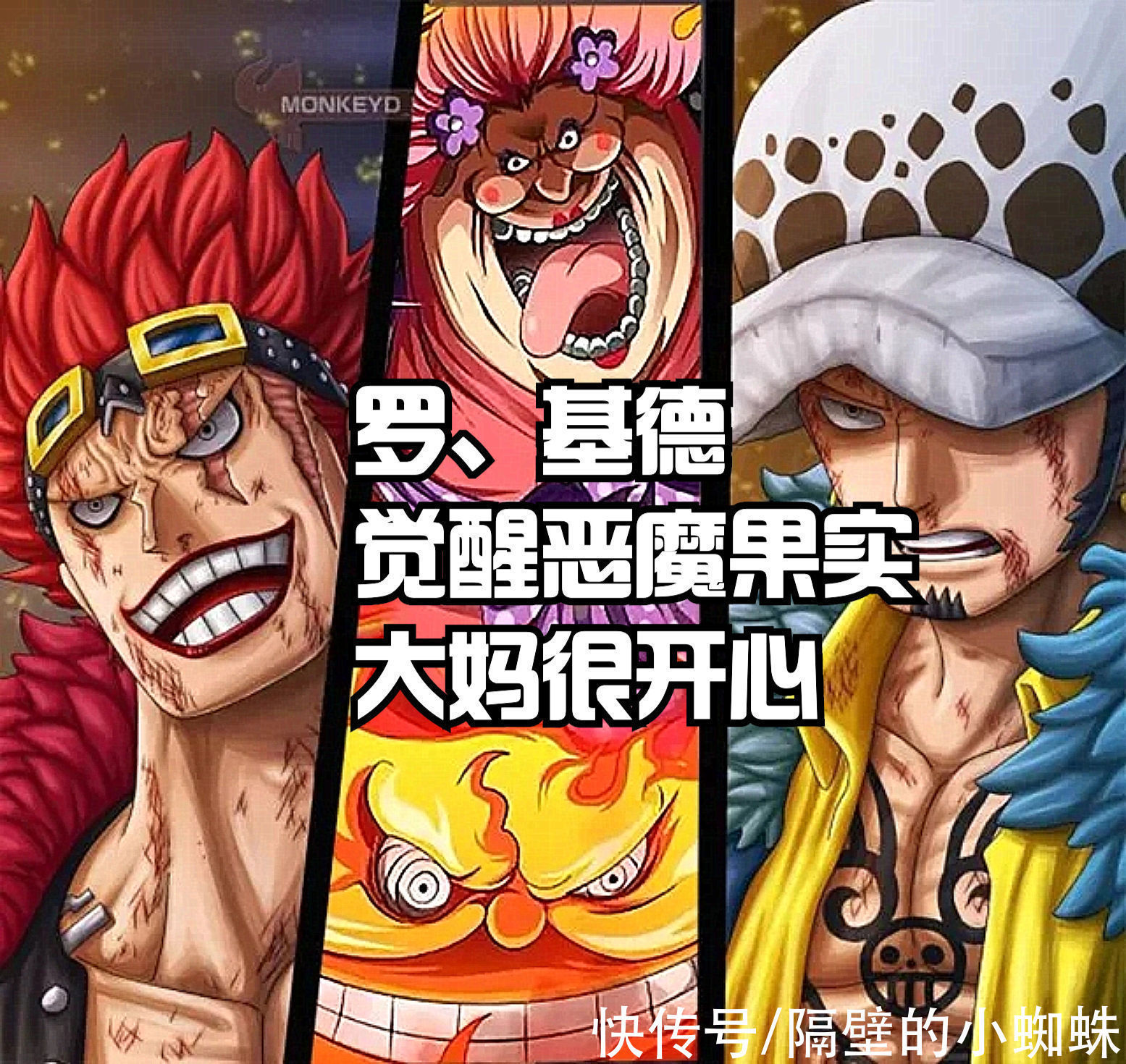 小蜘蛛|海贼王1030话情报:罗、基德“觉醒”恶魔果实,大妈要战败?