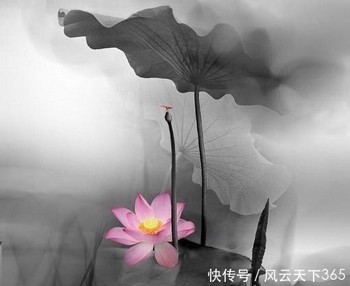 蓦然回首#佛教最经典的24句话,修身养性,不看是你的损失!