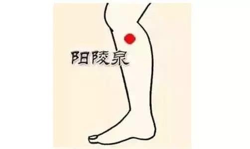 茼蒿|养护肝脏,多食二绿,常饮三水,按揉四穴