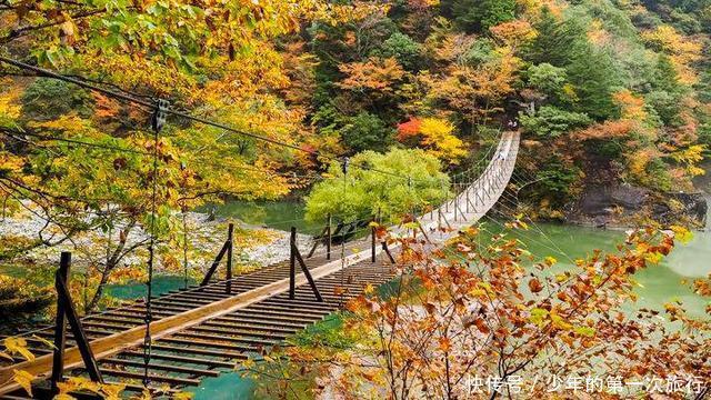 东京近郊除了富士山，还有“梦之吊桥”！小众且唯美，很适合拍照