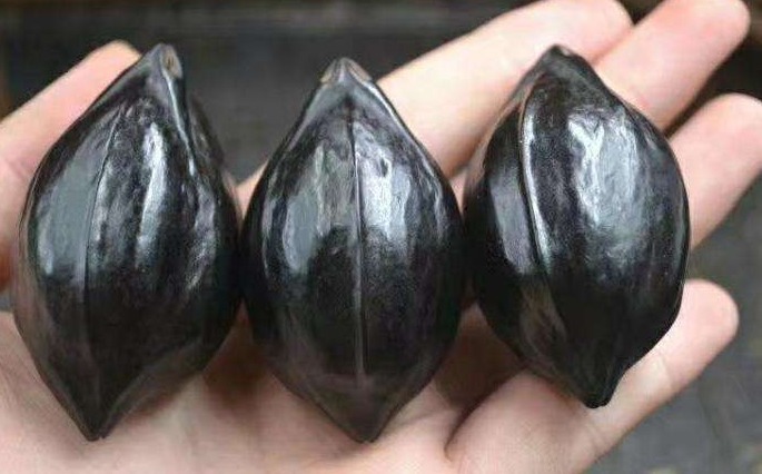 排毒|冬季养生，4种食物每天吃点，排毒养肝，调理血气，促进肝脏解毒