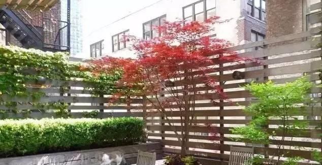 房子|40款不同格调庭院,适合乡村有房子的你,亲近自然的宜人环境