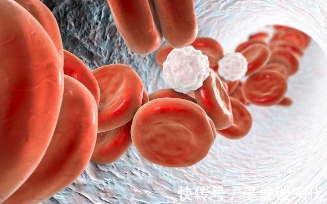 核桃|血管的“清道夫”找到了,早晚吃两口,血管干净,血栓“绕路走”