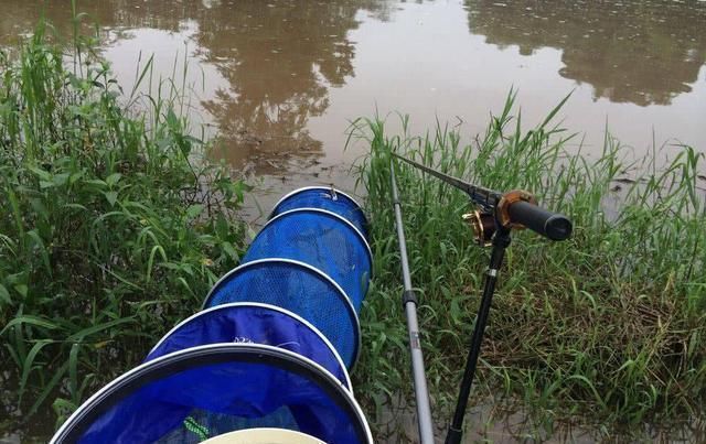 钓友们|野钓不上鱼那是因为用饵不对,我从三个方面,分享几种钓饵