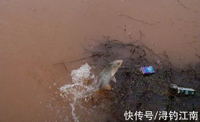 降雨|秋雨之季,雨前、雨中和雨后的作钓技巧是有讲究的,这几点很重要