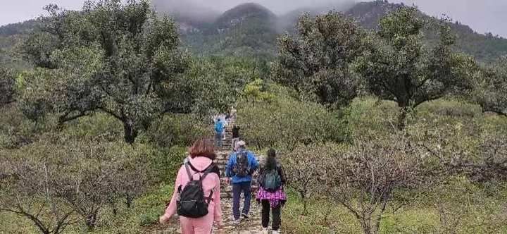 莱芜|七律?游莱芜苍龙峡