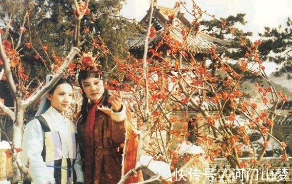 黛玉!宝钗吃花,湘云枕花,妙玉送花,红楼女儿那些与花有关的事儿!