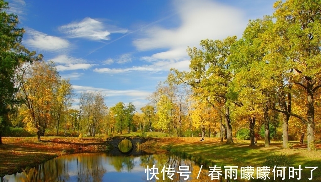 风清云淡$一窗冷雨,一枕新凉,谁看尽旧时书,谁洒尽今生泪