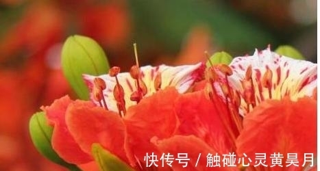 贵人|生肖羊：3月开始贵人提拔，吉星高照，好运如虹