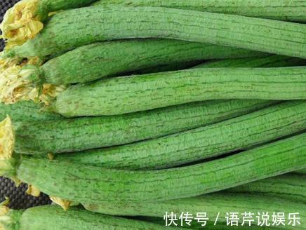中老年人|丝瓜和它是天生的“敌人”,不能一起食用,记得告诉家里人