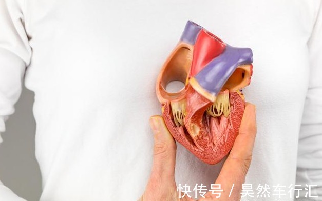 血管|高血压20年无并发症,只要做好这几点,你也可以