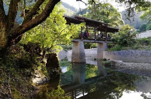 王莽|安徽有一村落在大山中，有“中国富硒第一村”之称，老人都很长寿