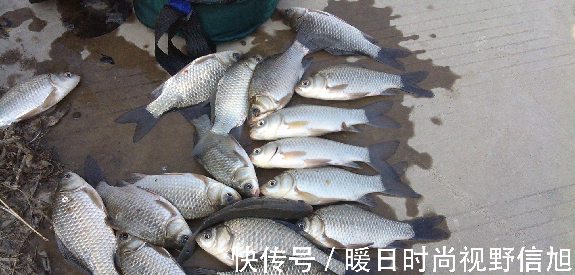 夏天|夏天鱼难钓,试试这些小技巧,也许你会有意想不到的惊喜