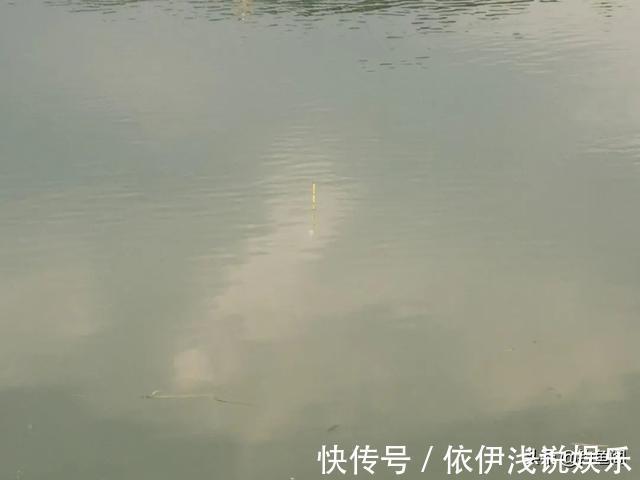 半目|轻口鱼难钓?按我的方法做一钓一个准,再小的口也能逮住