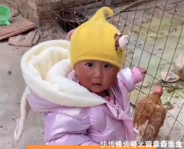 回到老家|双胞胎宝宝分开养,城里妈妈带的还不会走,乡下奶奶带的撵着鸡跑