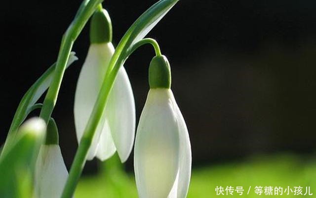 曾国藩|人生,将要走下坡路,往往会有这2个征兆,要多加注意!