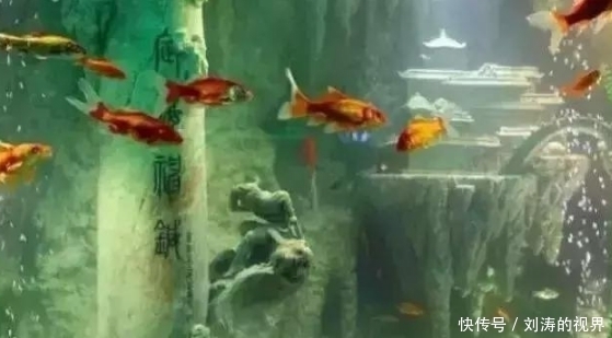 花了13.8吨玉石,只为做一个鱼缸,有钱任性!
