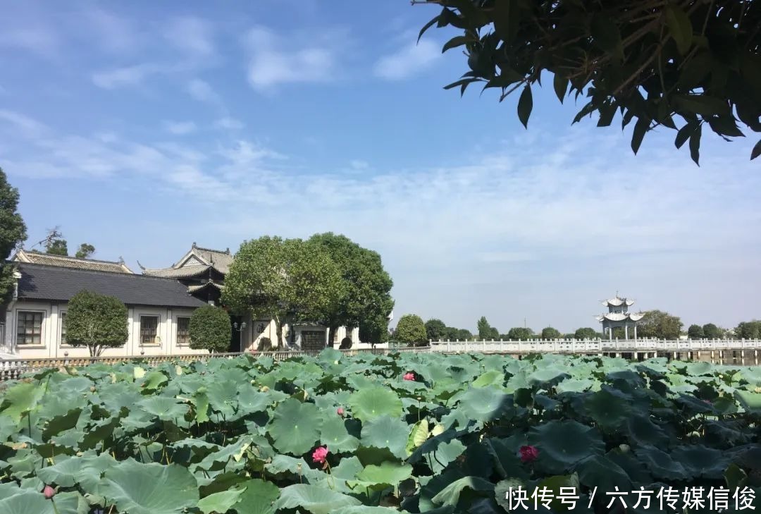 双城|婺语倾城:婺城“花香”沁九州