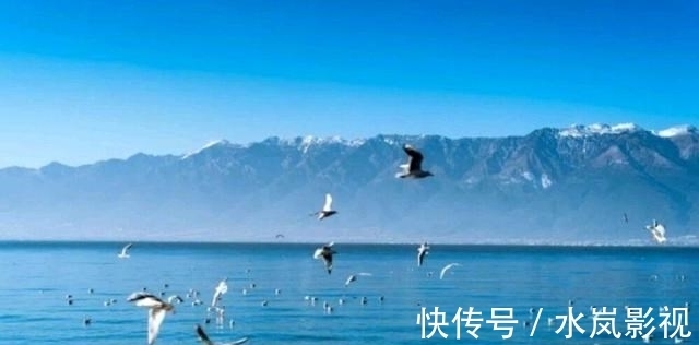 旅游|云南高原上的漂亮“淡水湖”，风景秀丽、清澈见底，旅游观光名胜