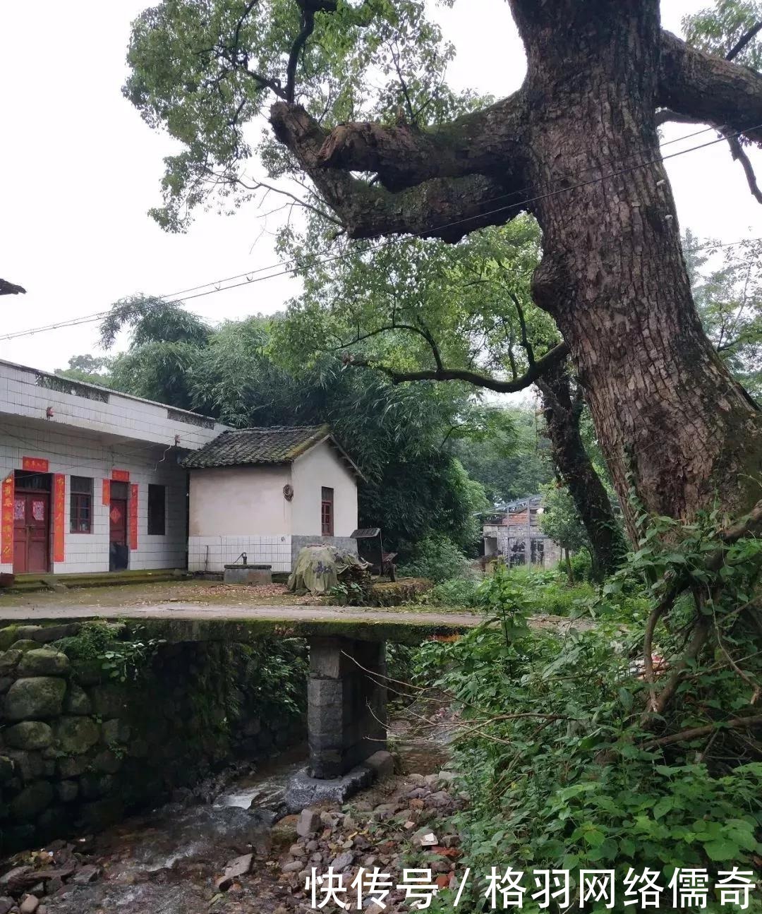 探秘青龙山村4:许多村的夹石被毁了,为何此村的夹石却能幸存?