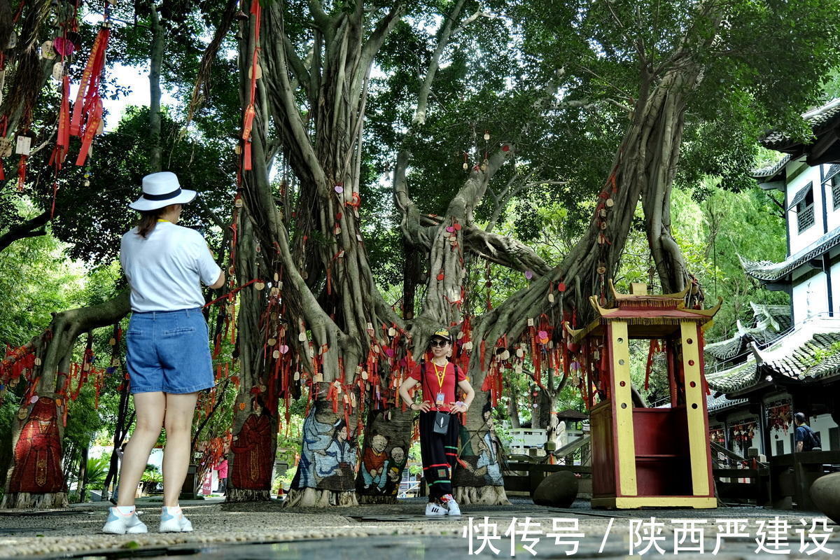 学生时代|钱上的景点与诗词之乡【严建设】