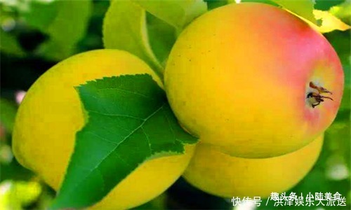 毒素|聰明人都在吃4種食物,排出毒素,凈化血液,促進(jìn)血液循環(huán)