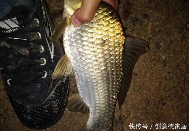 如何做到轻窝不补但留窝持久?这三个方案适合你