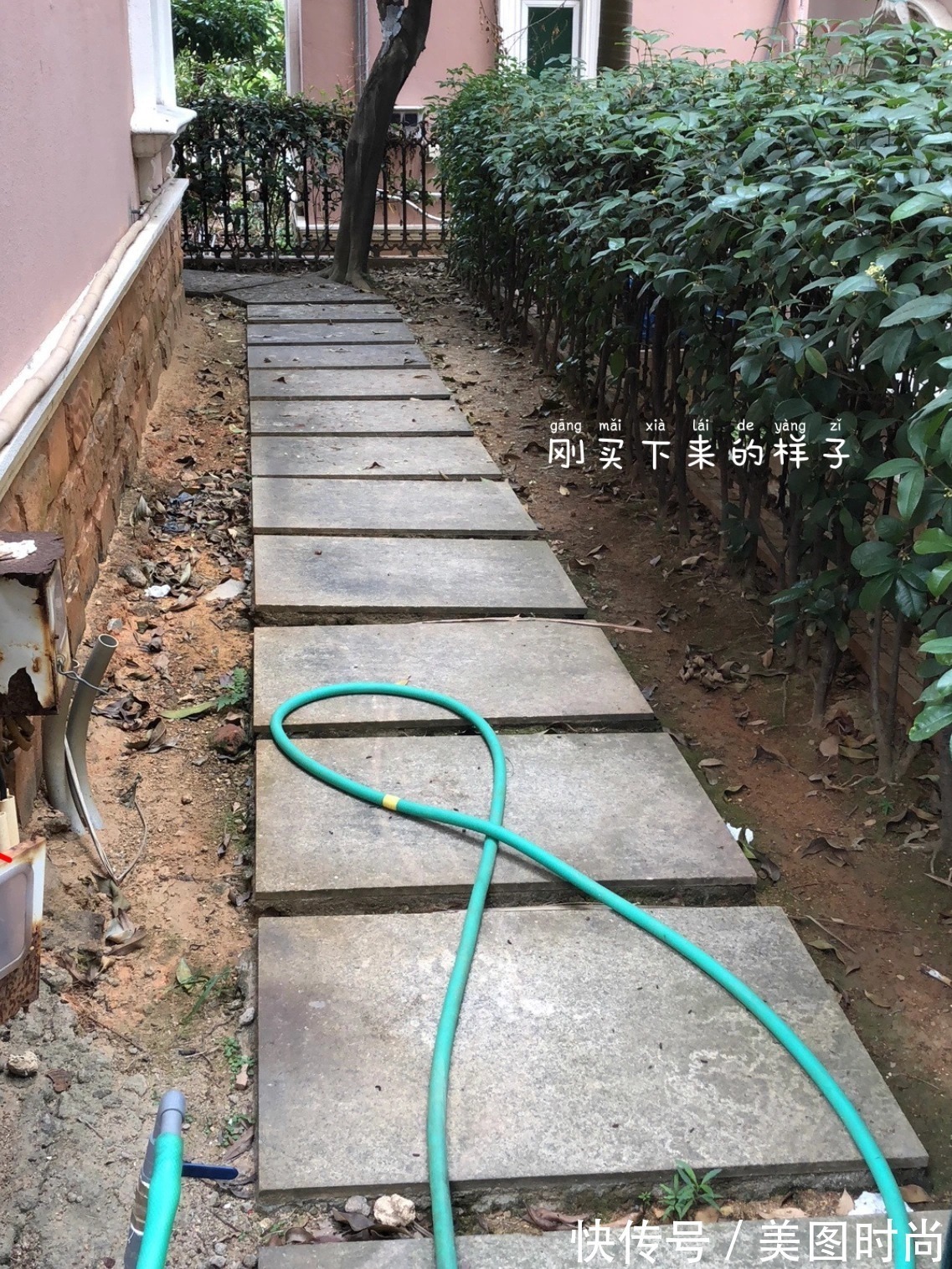 预算8万，改造170㎡别墅“沙漠植物懒人花园”，太好看了