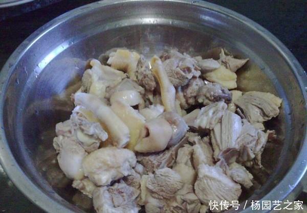 不管炖啥肉,记得加点它,半小时就炖熟,汤汁香浓,肉质软烂