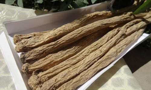 蒲公英|养生除了枸杞、黄芪，不要忘了此物，清热解毒，溶血栓，降三高