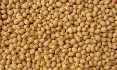 常给孩子吃此物，多贵也别省，孩子眼睛不近视，个头也高了