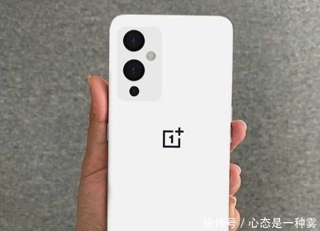 预装|80W快充、预装ColorOS11,一加9Pro信息有点异常