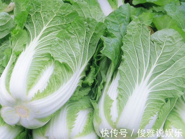 医生|医生说大白菜与其搭配就是给健康找茬，但偏偏很多人喜欢吃！