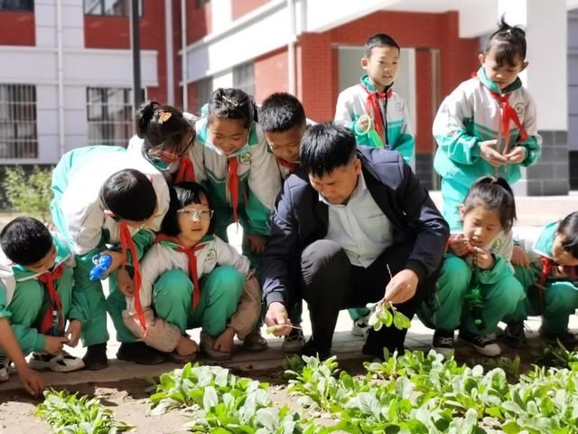 “开心农场”进校园，学生过把“菜农瘾”