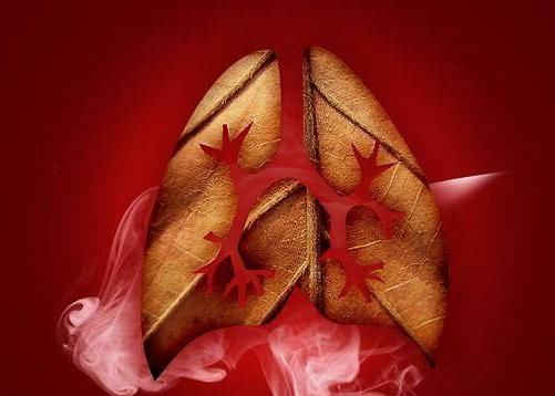 肝火旺易失眠，心火旺易做梦！用3个办法就能把火“熄灭”！