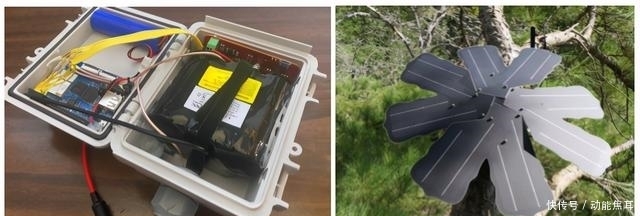 护林员|给你千里眼和顺风耳,你会做什么?