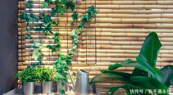 养花换下的土壤这样操作,就能无限循环