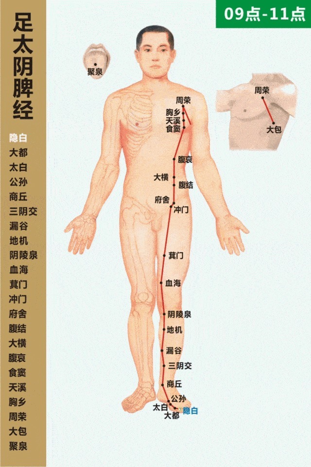  经络|你身上的慢性病，久治不愈，都与这条经络不通有关