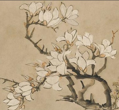 如何使肌肤可以:无惧环境的压力,无规律的作息习惯