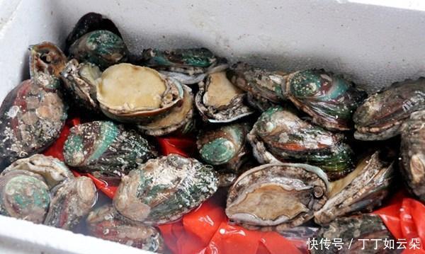 海鲜|曾经的“天价”海鲜,如今卖出了“白菜价”,3元一只,随意吃
