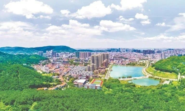 毛坯|逆势涨价?别人都在降,它一年涨了53万!