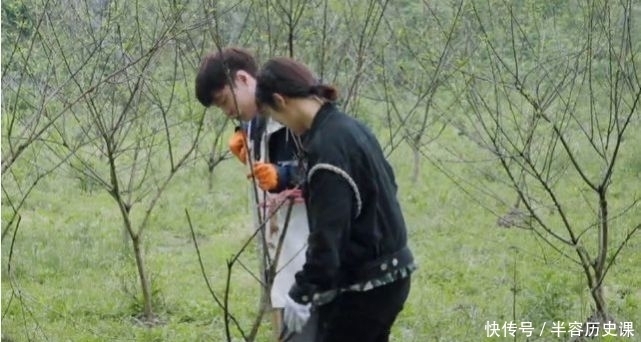 全场 杨紫调侃做客《向往5》,经常被肖战微信吵到,原因引全场大笑