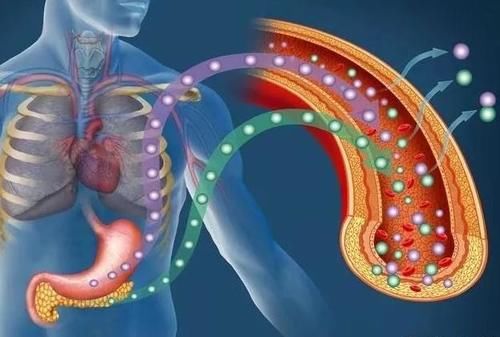 糖尿病|世卫组织发现：睡前小小的一粒维生素B，胰岛或慢慢“强壮”