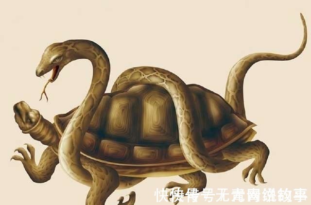 玄武#上古十大神兽排行榜:毕方第9,腾蛇第6,前4大家都认识?