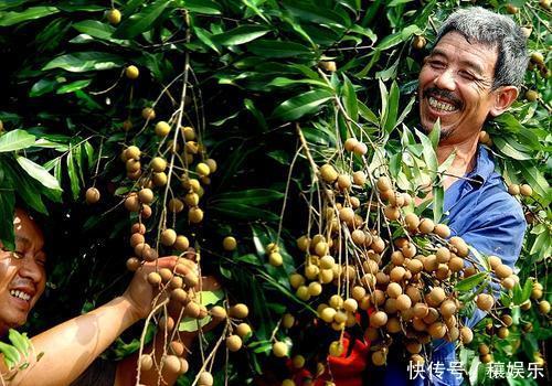 产自国外,补血的一大法宝,一斤10-20元,国内农民:各有所用!