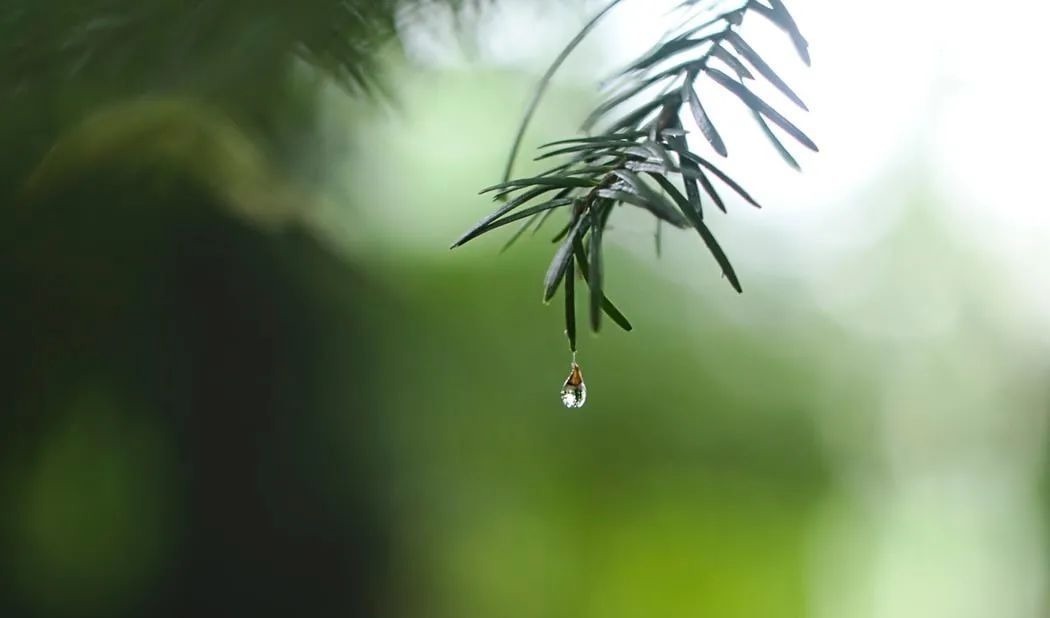 梦一场$元稹千古名句的背后,藏着他最爱的人和最真的情