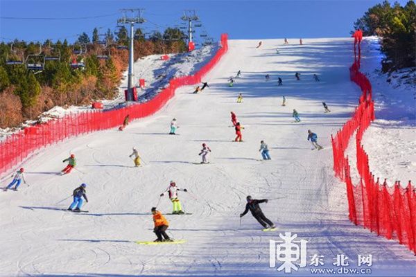 冰雪旅游|观鹤、冬捕、泡汤…… 解锁“鹤舞雪原”冰雪旅游线路的N种玩法