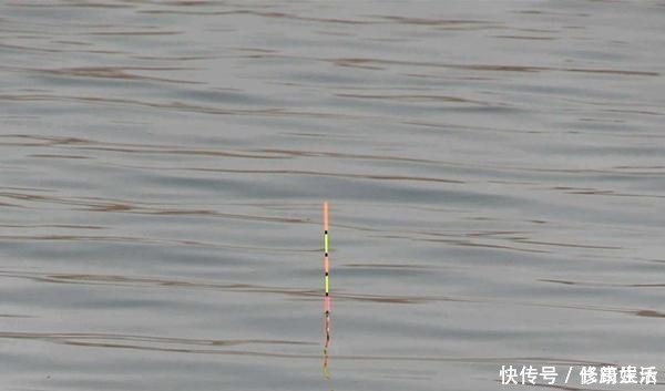 钓鱼|钓鱼技巧调漂方法虽然有多种,但要做到精准,都要遵循这些要点